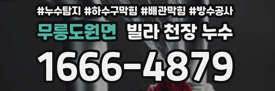 무릉도원면 빌라 천장 누수