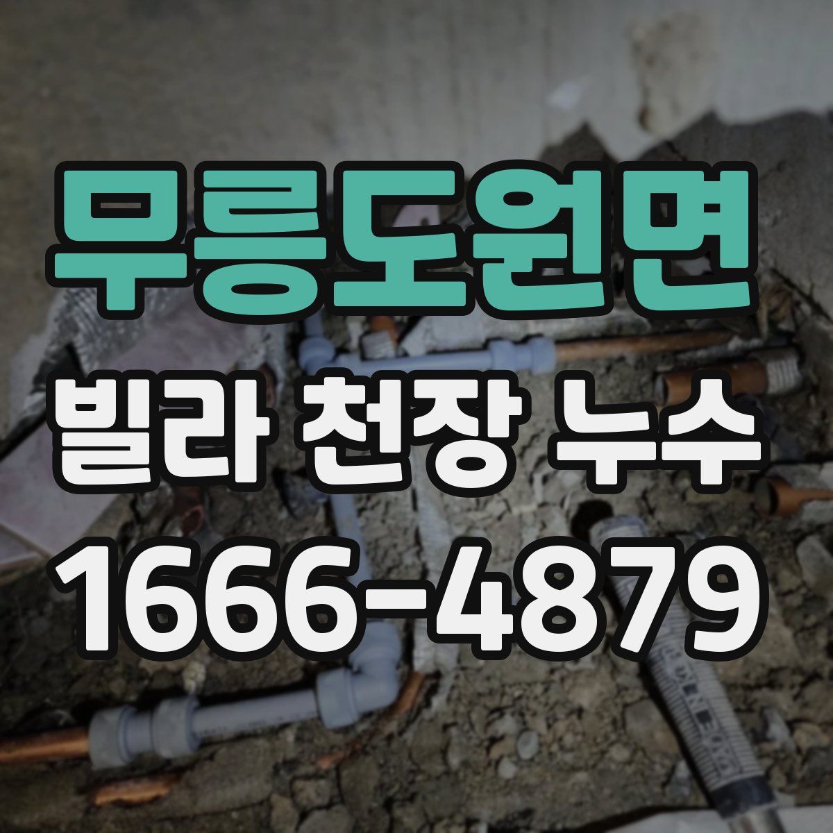 무릉도원면 빌라 천장 누수