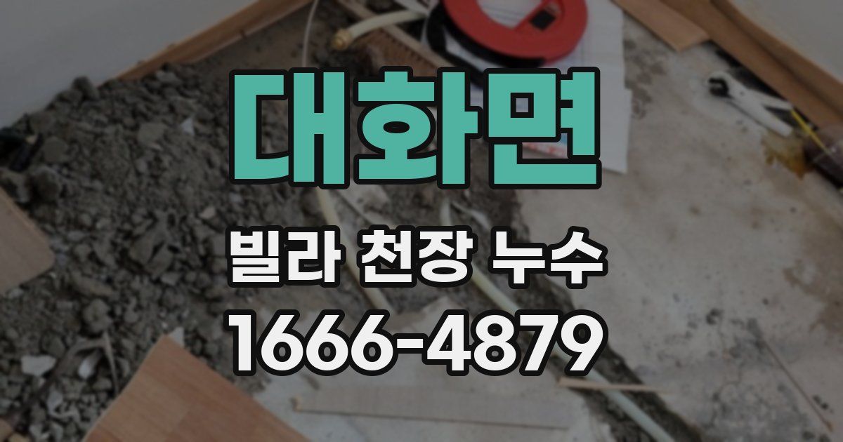 대화면 빌라 천장 누수