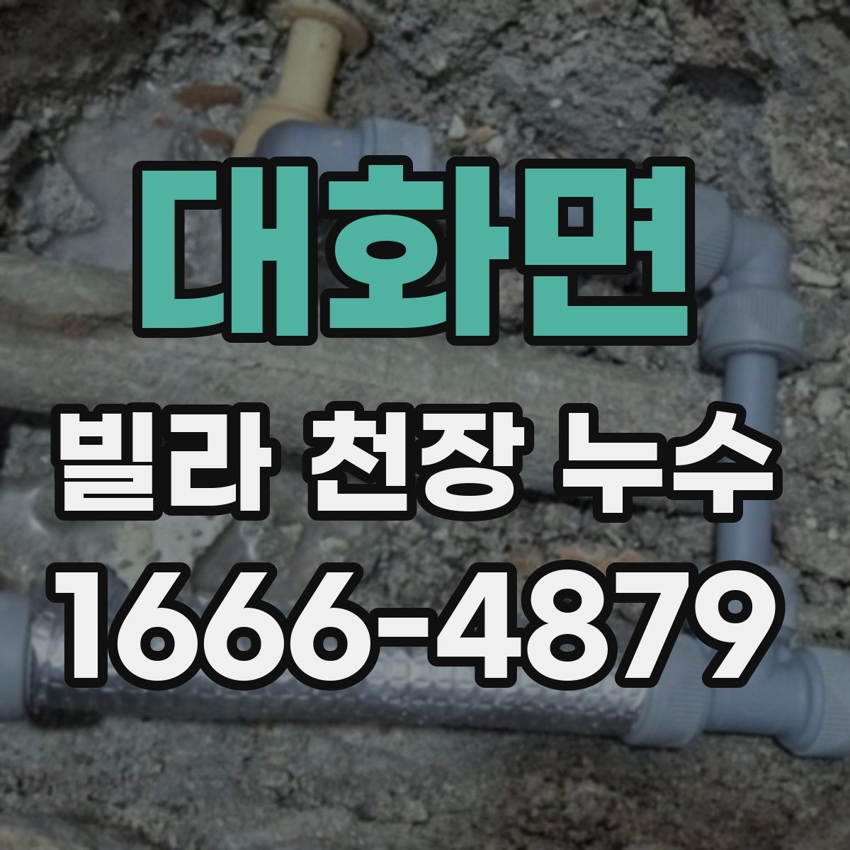 대화면 빌라 천장 누수