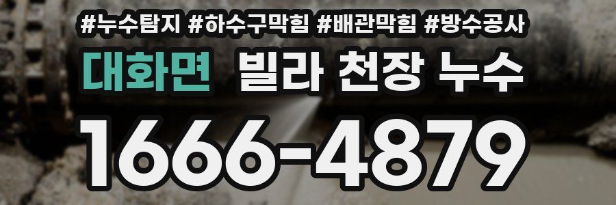 대화면 빌라 천장 누수