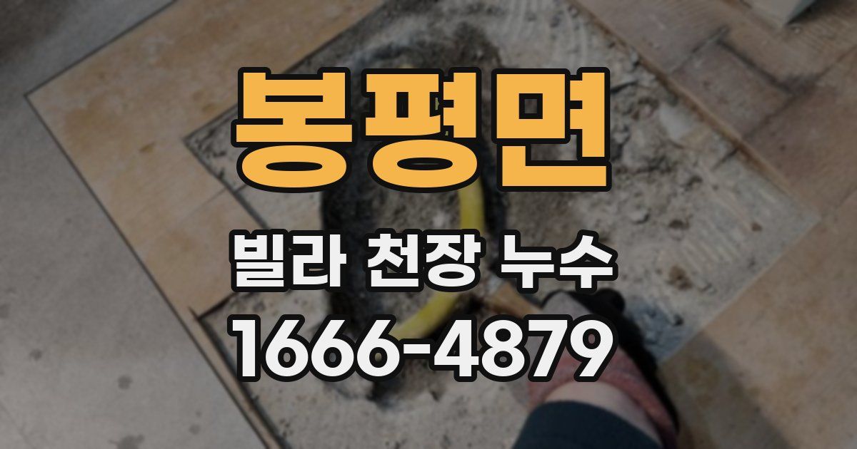 봉평면 빌라 천장 누수