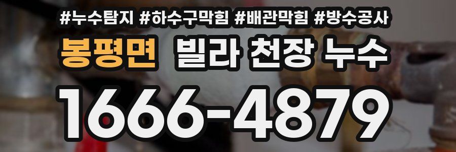 봉평면 빌라 천장 누수