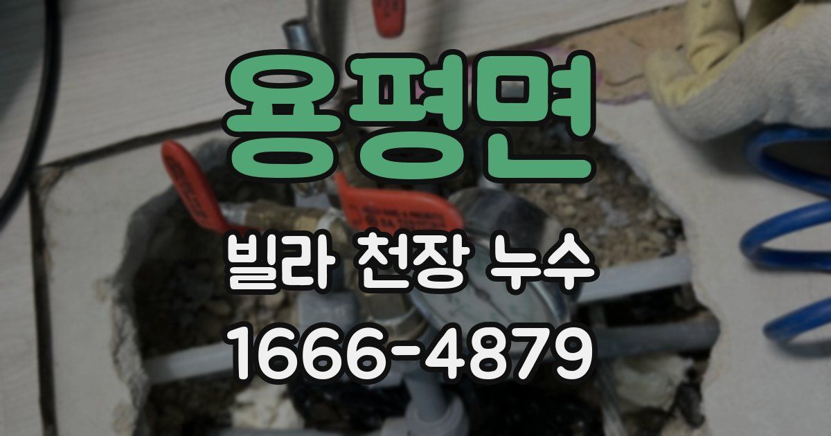 용평면 빌라 천장 누수