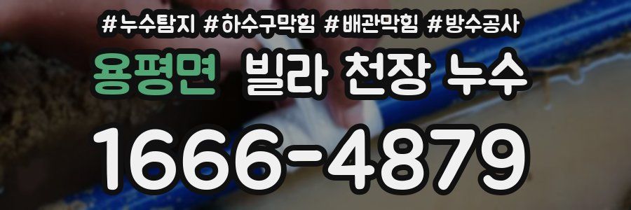 용평면 빌라 천장 누수