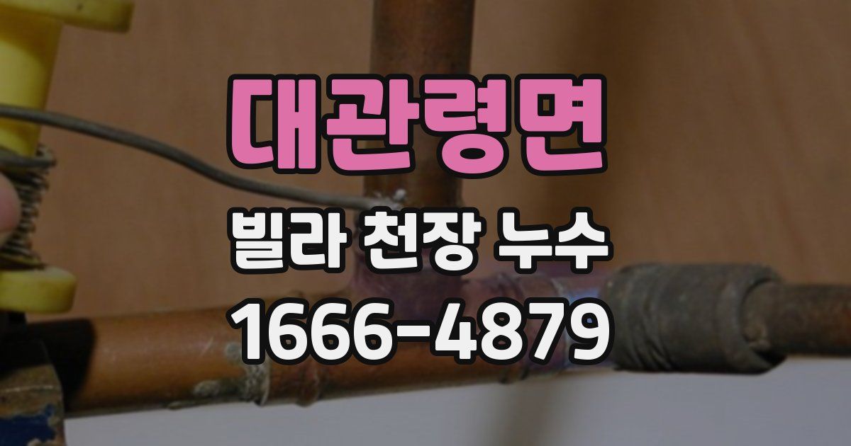 대관령면 빌라 천장 누수