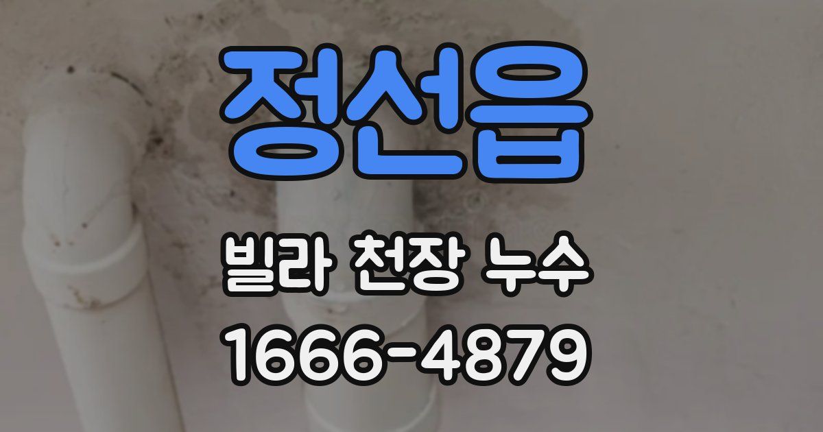 정선읍 빌라 천장 누수