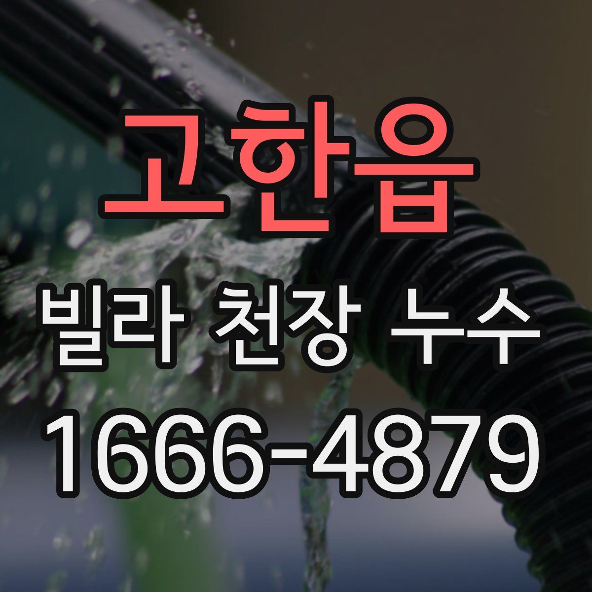 고한읍 빌라 천장 누수