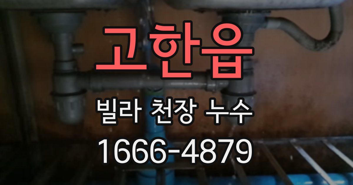 고한읍 빌라 천장 누수