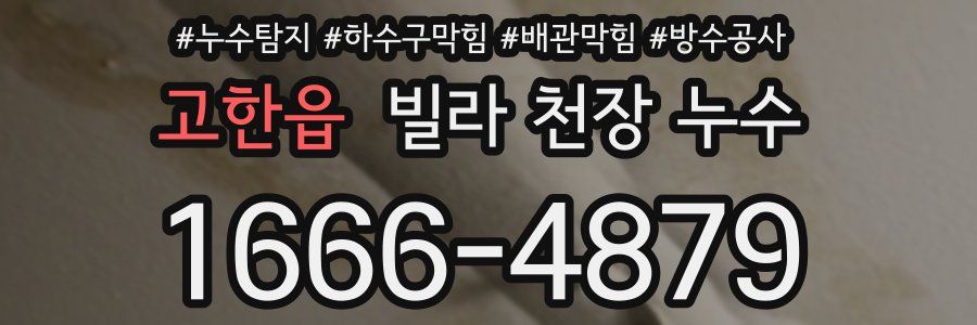 고한읍 빌라 천장 누수