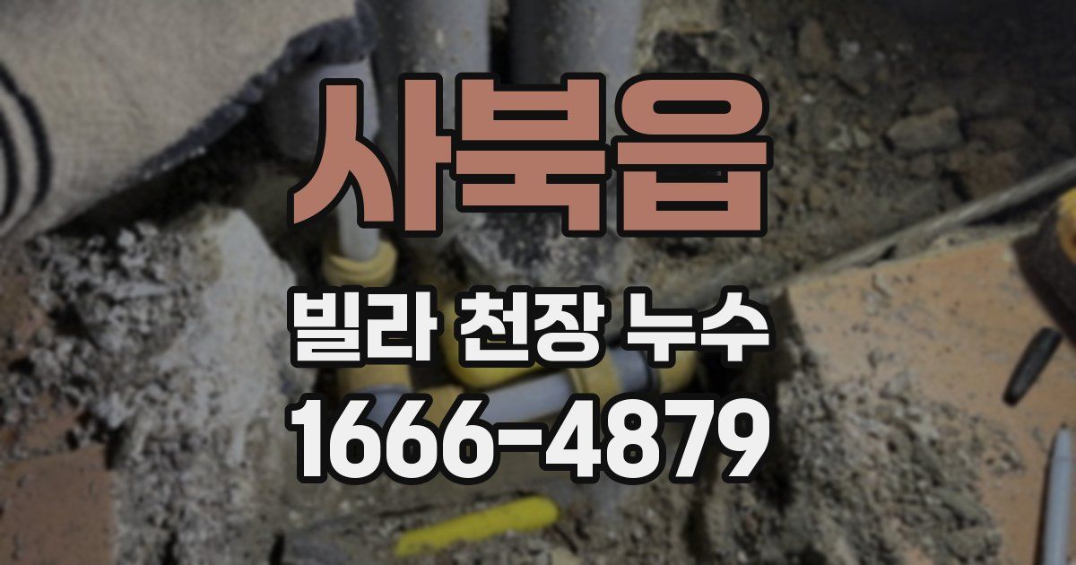 사북읍 빌라 천장 누수