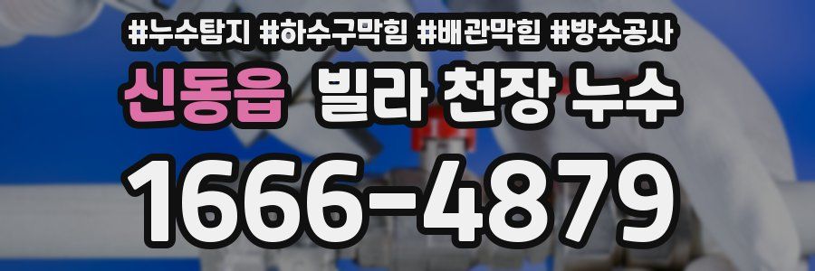 신동읍 빌라 천장 누수