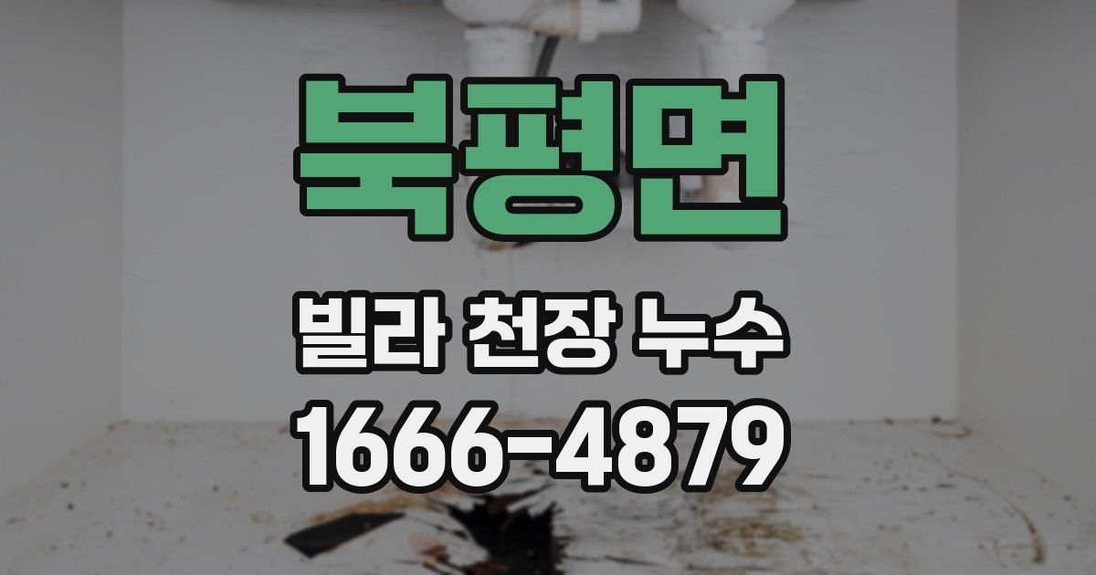 북평면 빌라 천장 누수