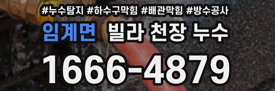 임계면 빌라 천장 누수