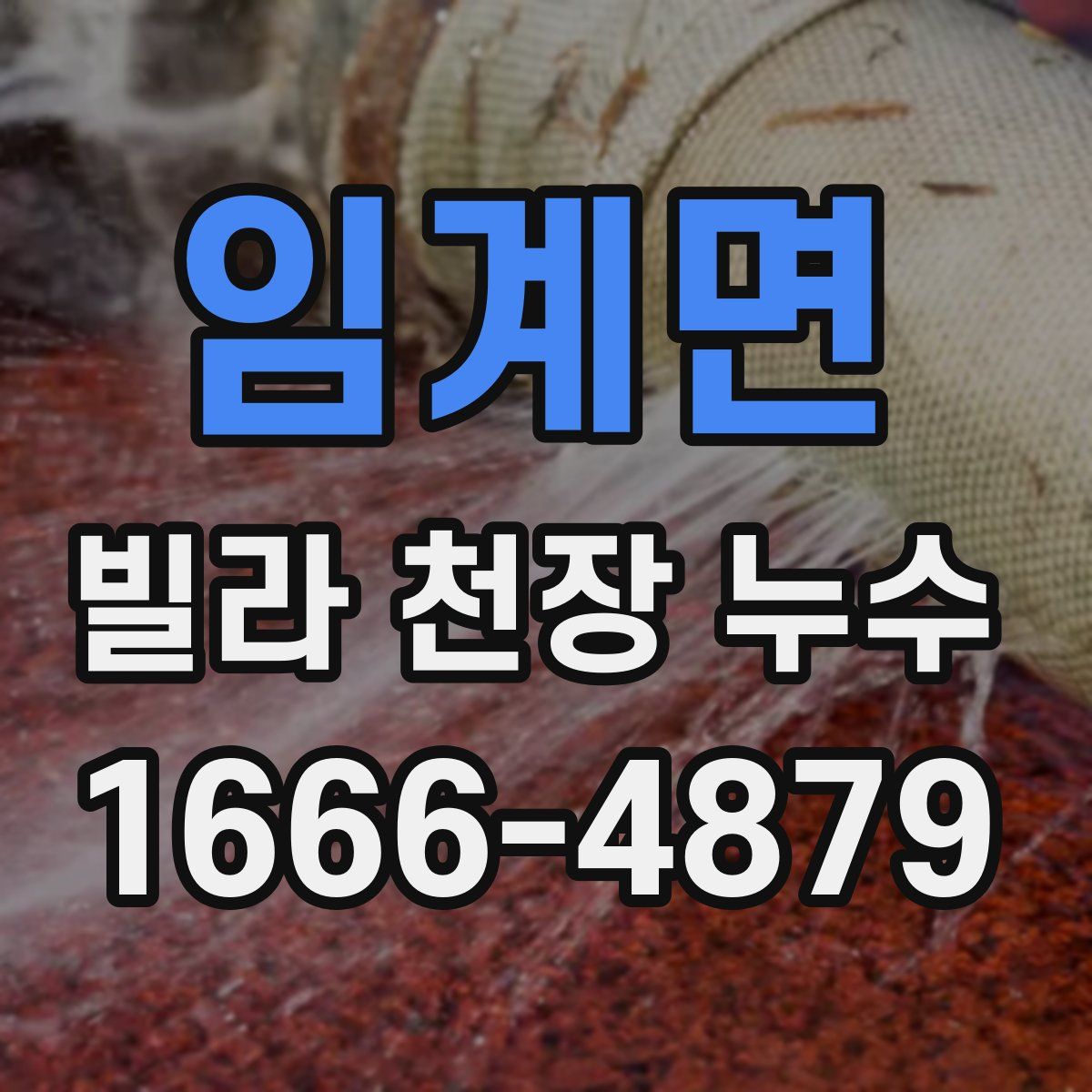 임계면 빌라 천장 누수