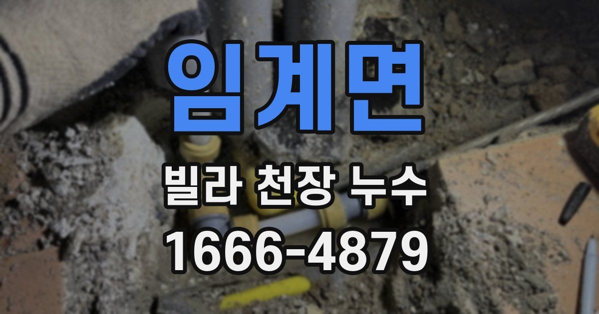 임계면 빌라 천장 누수