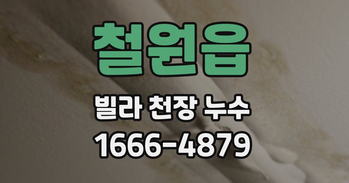 철원읍 빌라 천장 누수
