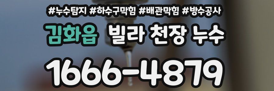 김화읍 빌라 천장 누수