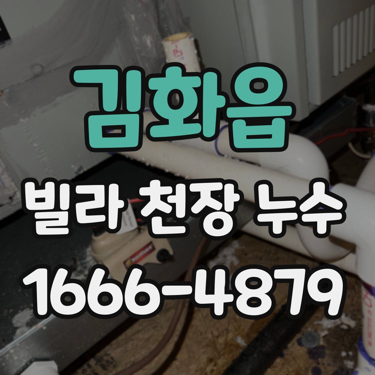 김화읍 빌라 천장 누수