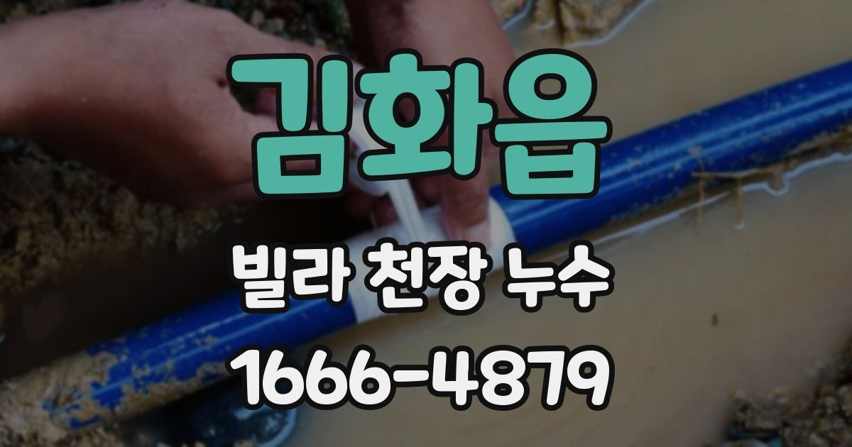 김화읍 빌라 천장 누수