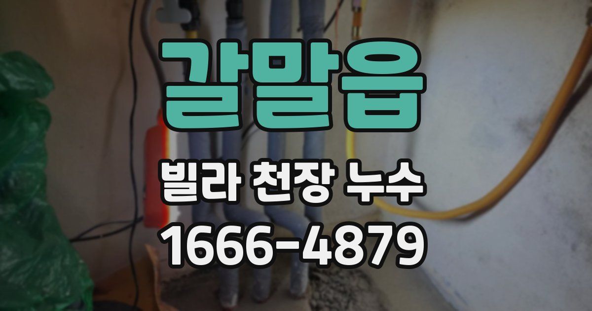 갈말읍 빌라 천장 누수