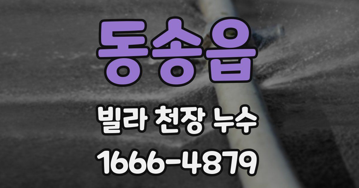 동송읍 빌라 천장 누수
