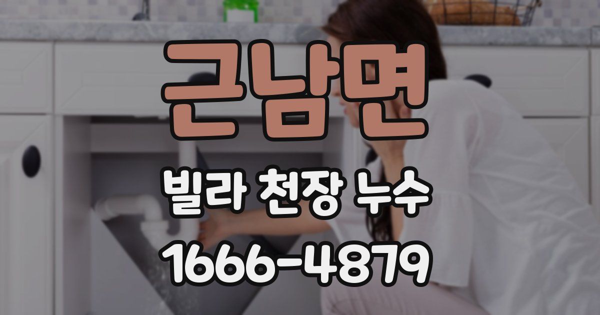 근남면 빌라 천장 누수