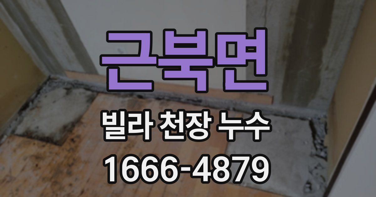 근북면 빌라 천장 누수