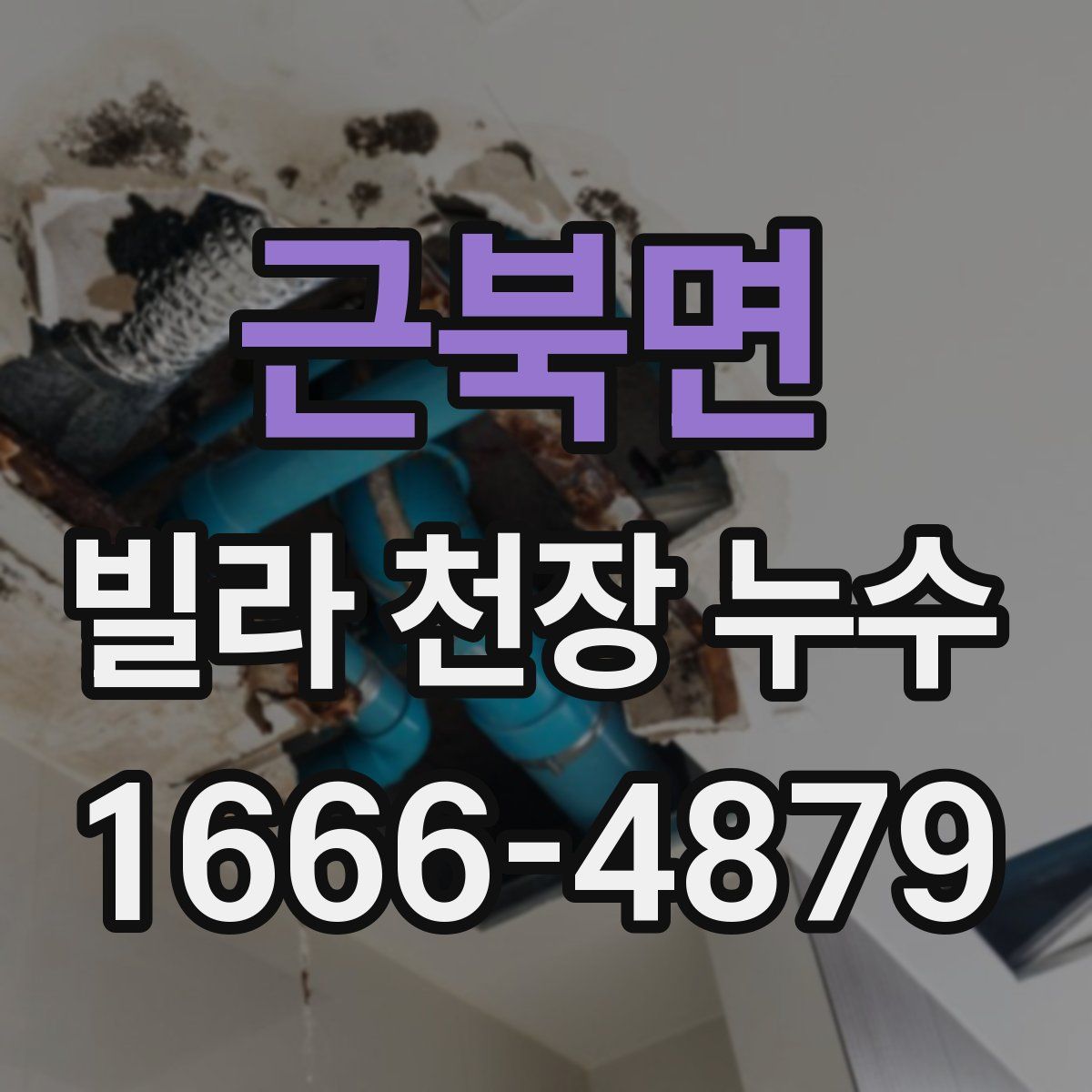 근북면 빌라 천장 누수