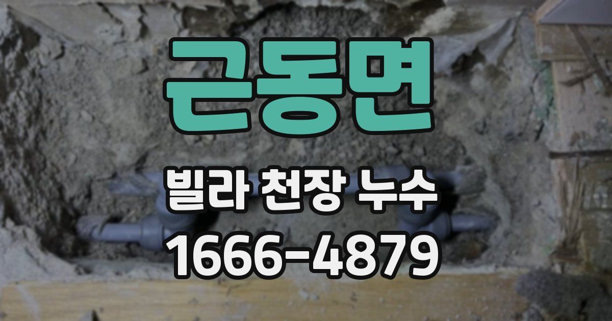 근동면 빌라 천장 누수
