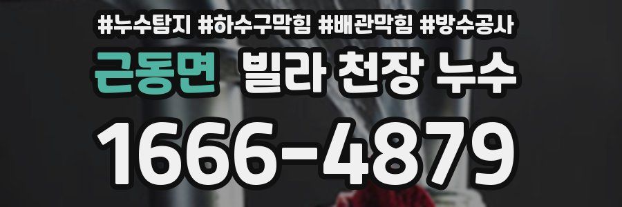 근동면 빌라 천장 누수