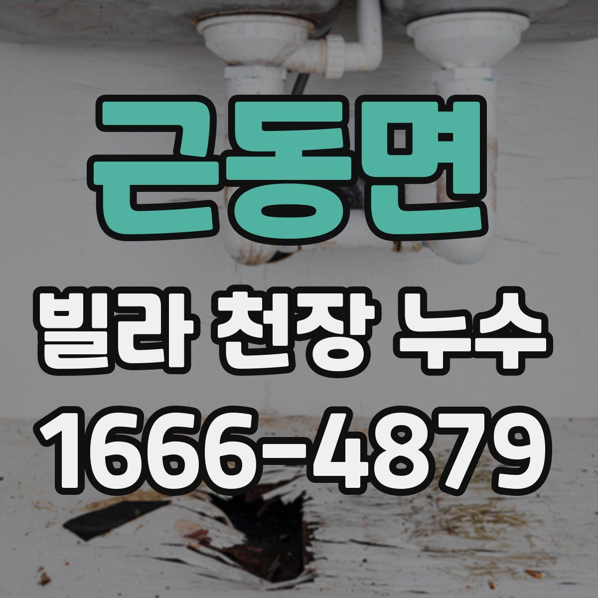 근동면 빌라 천장 누수