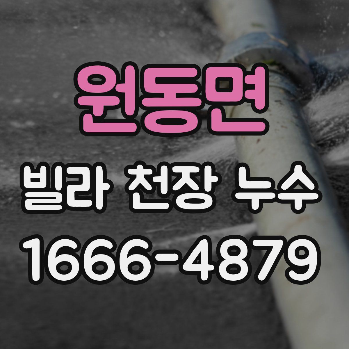 원동면 빌라 천장 누수