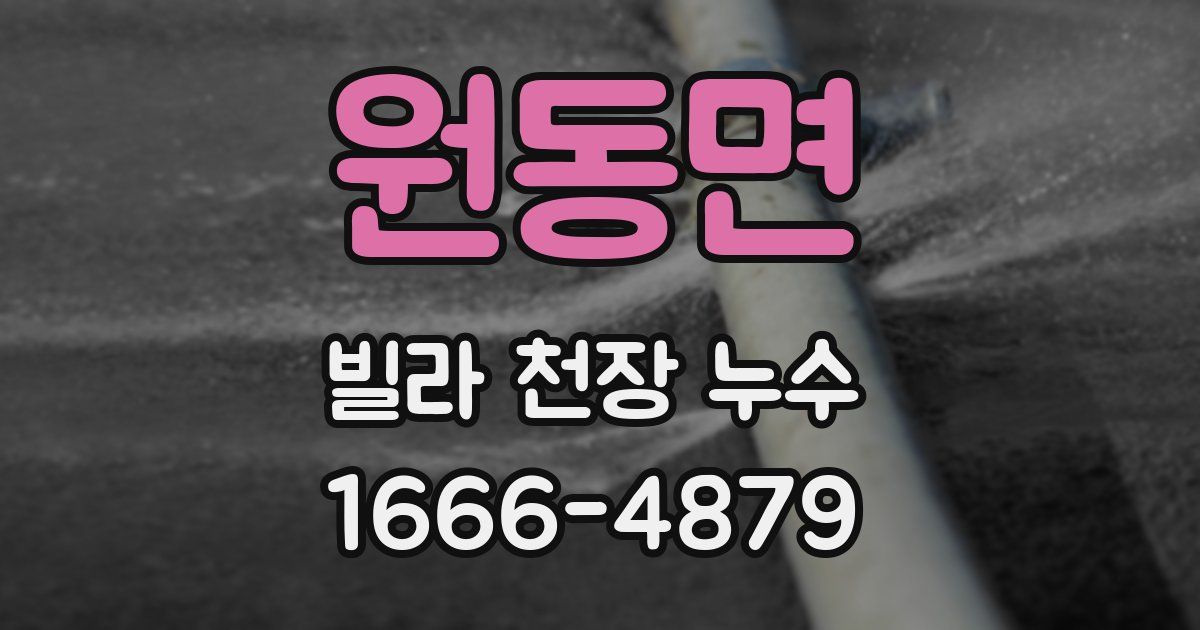 원동면 빌라 천장 누수