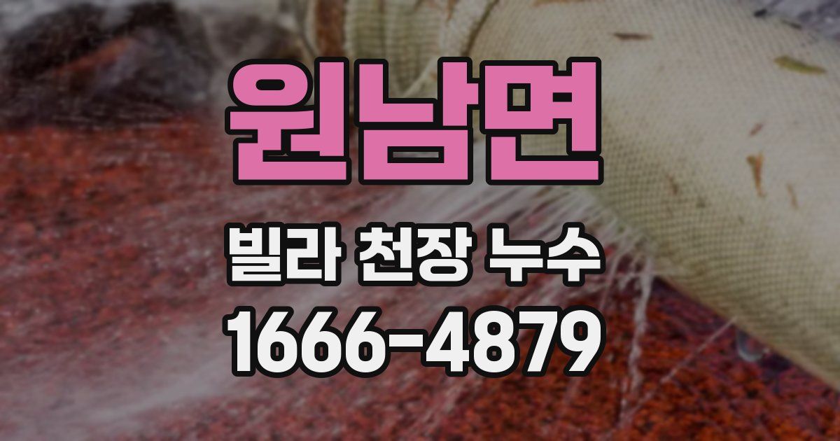원남면 빌라 천장 누수
