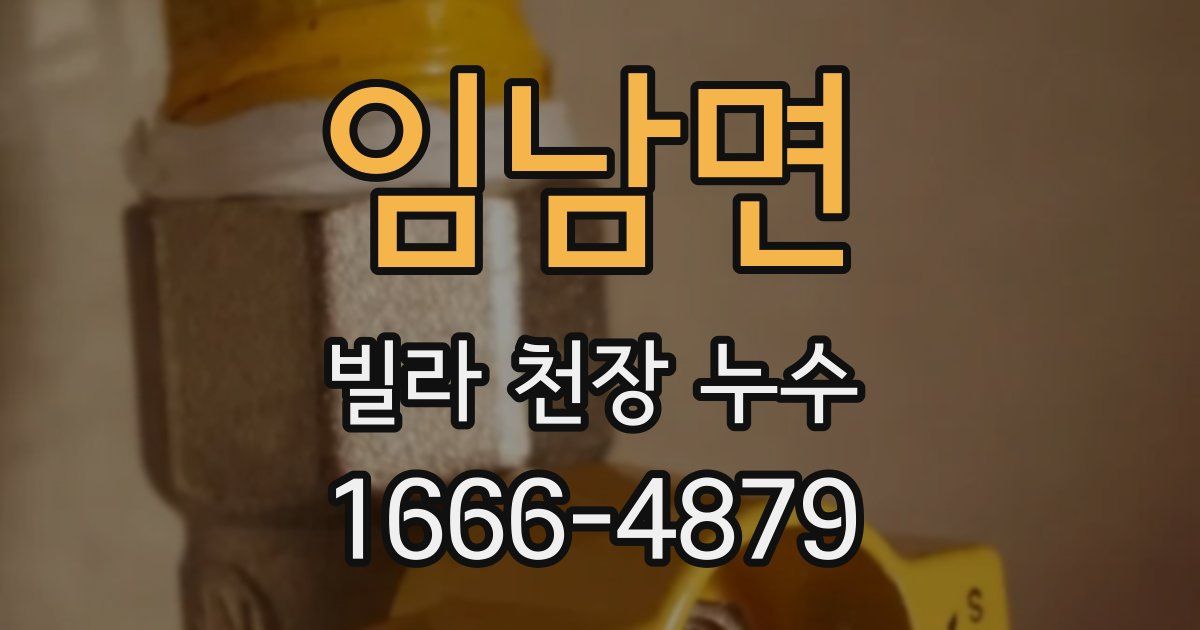 임남면 빌라 천장 누수