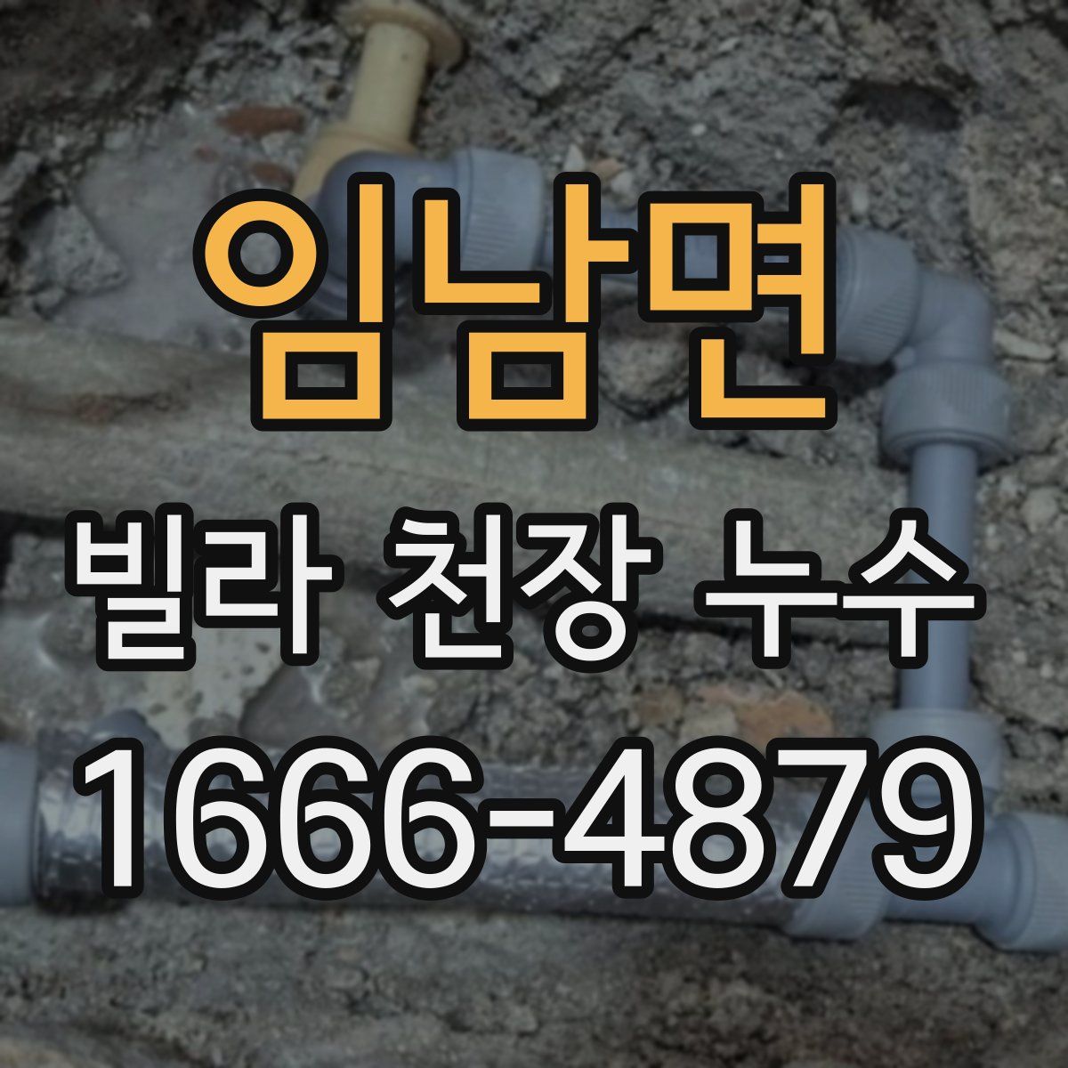 임남면 빌라 천장 누수