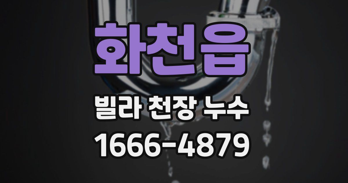 화천읍 빌라 천장 누수