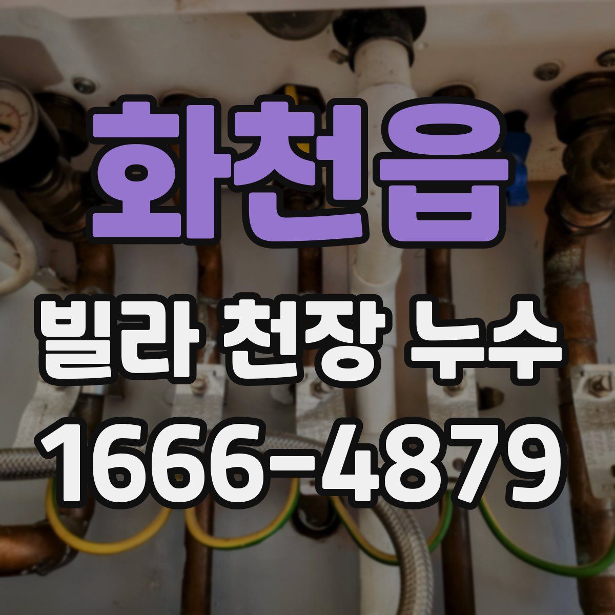 화천읍 빌라 천장 누수
