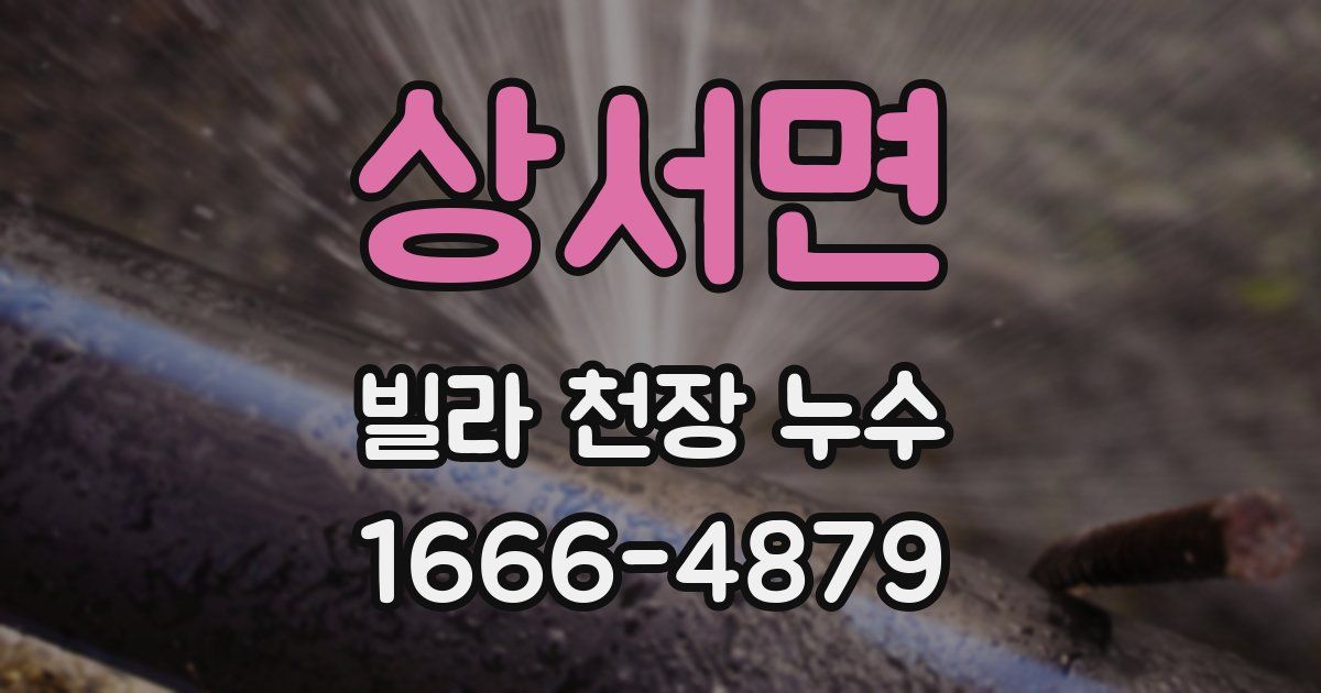 상서면 빌라 천장 누수