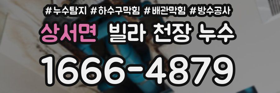 상서면 빌라 천장 누수