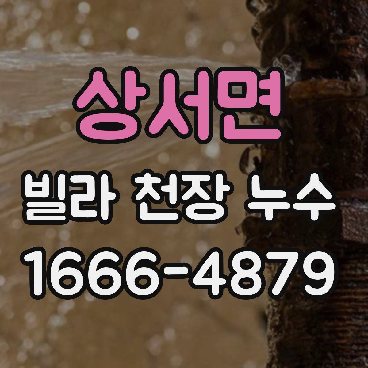 상서면 빌라 천장 누수