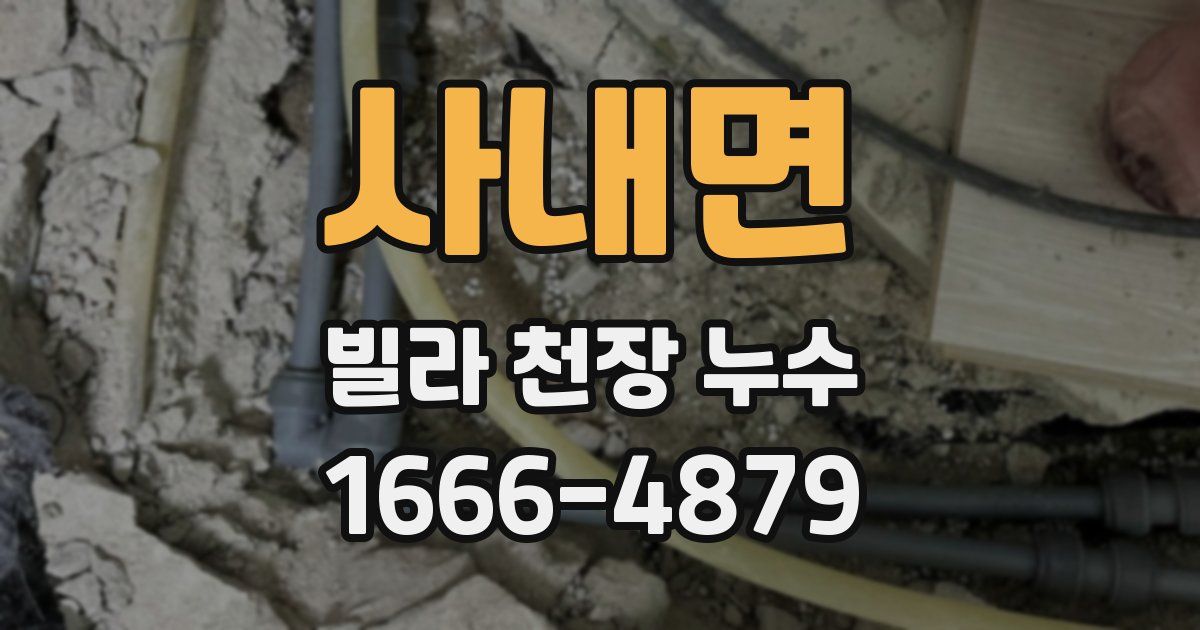 사내면 빌라 천장 누수
