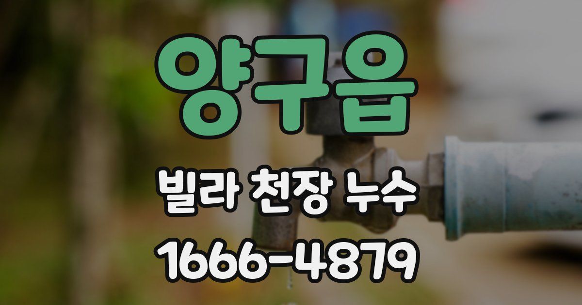양구읍 빌라 천장 누수