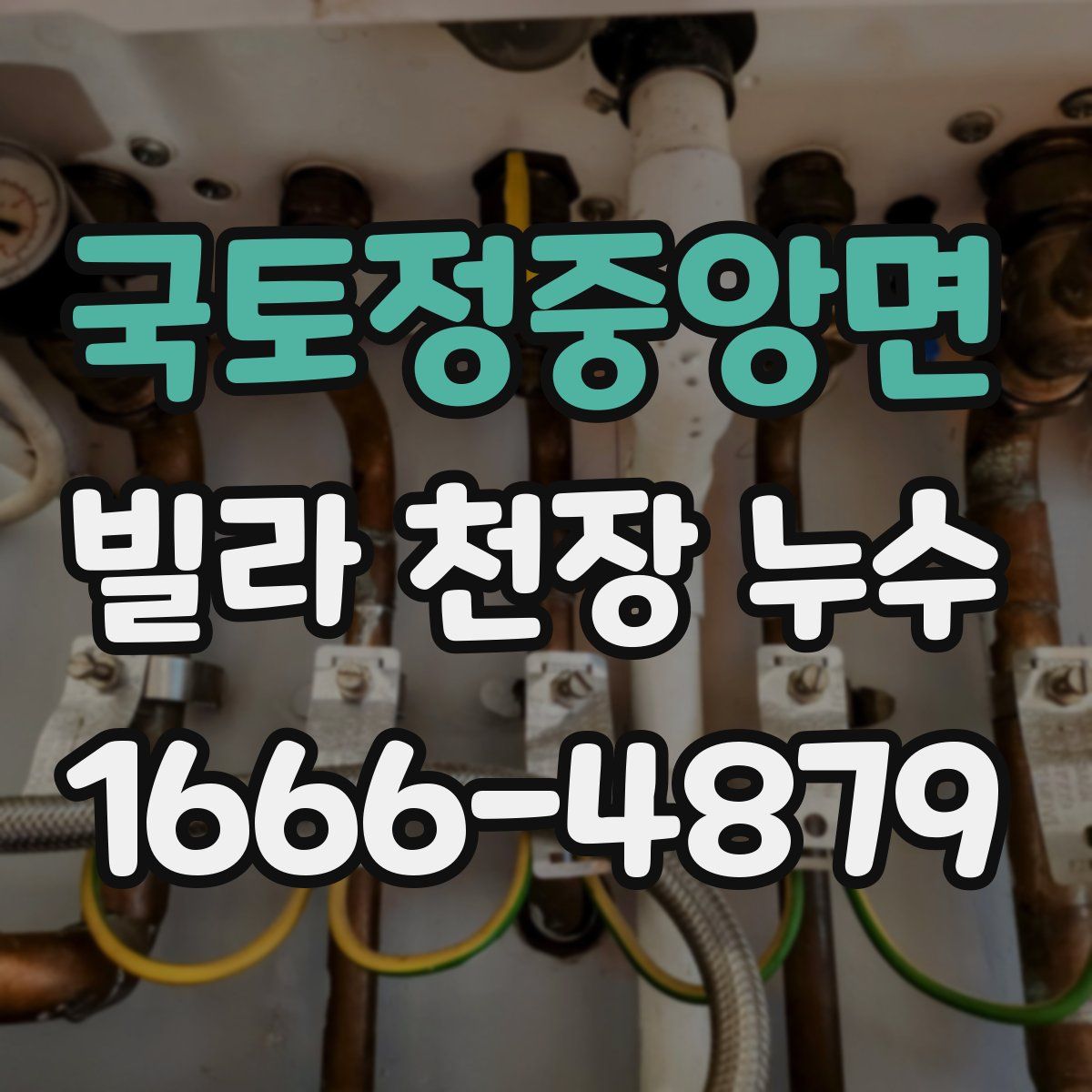 국토정중앙면 빌라 천장 누수