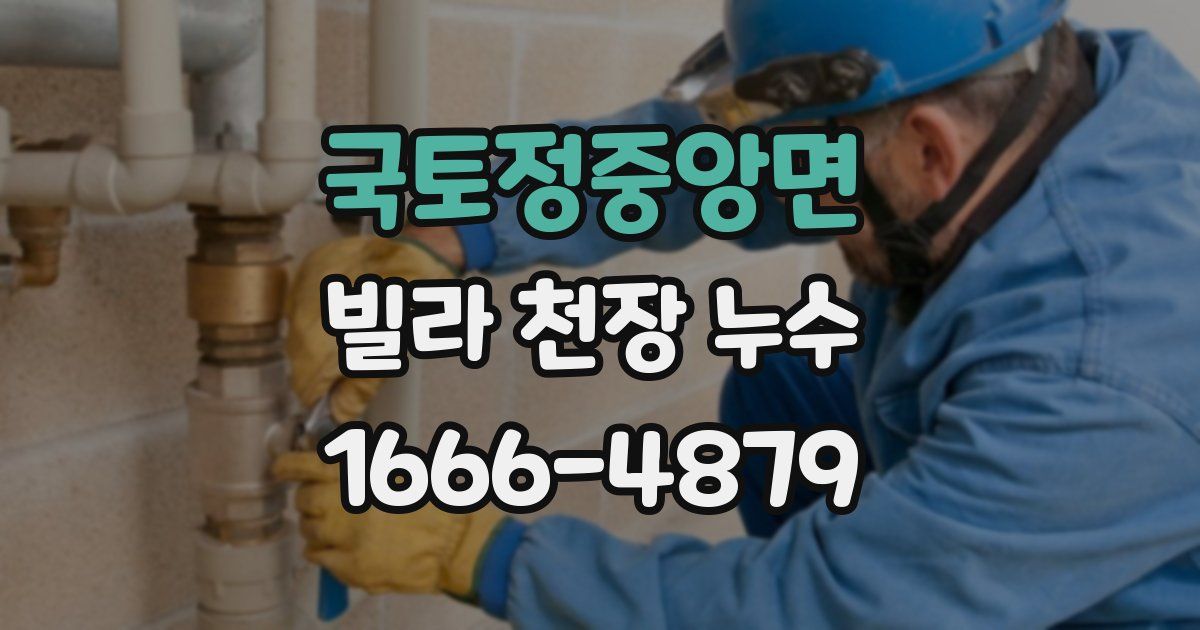 국토정중앙면 빌라 천장 누수