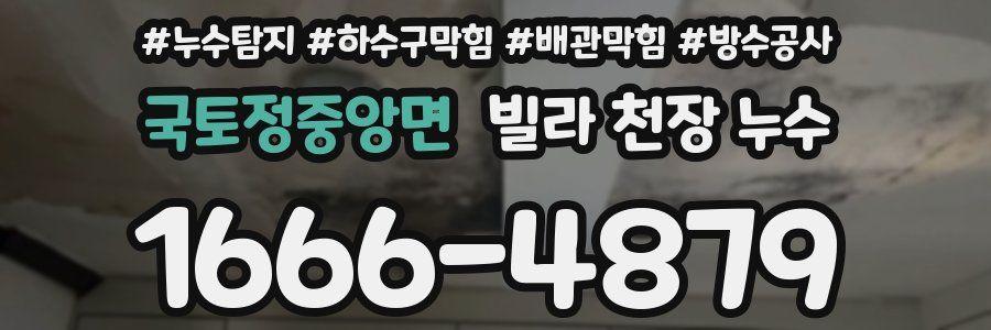 국토정중앙면 빌라 천장 누수