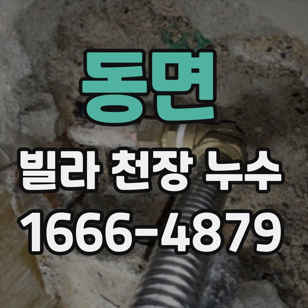 동면 빌라 천장 누수