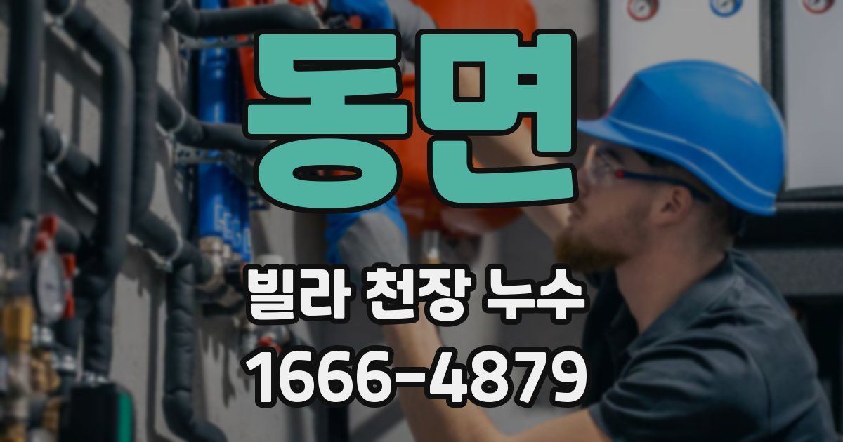 동면 빌라 천장 누수