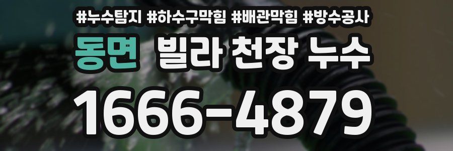 동면 빌라 천장 누수